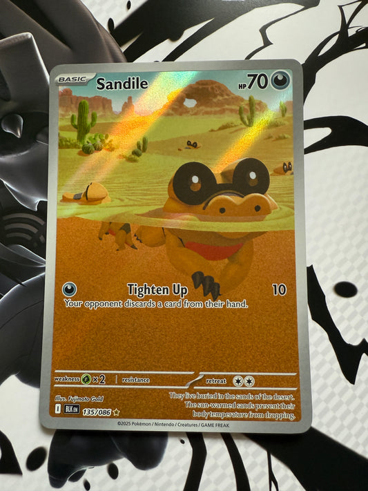 Sandile #135 | Pokemon | Black Bolt
