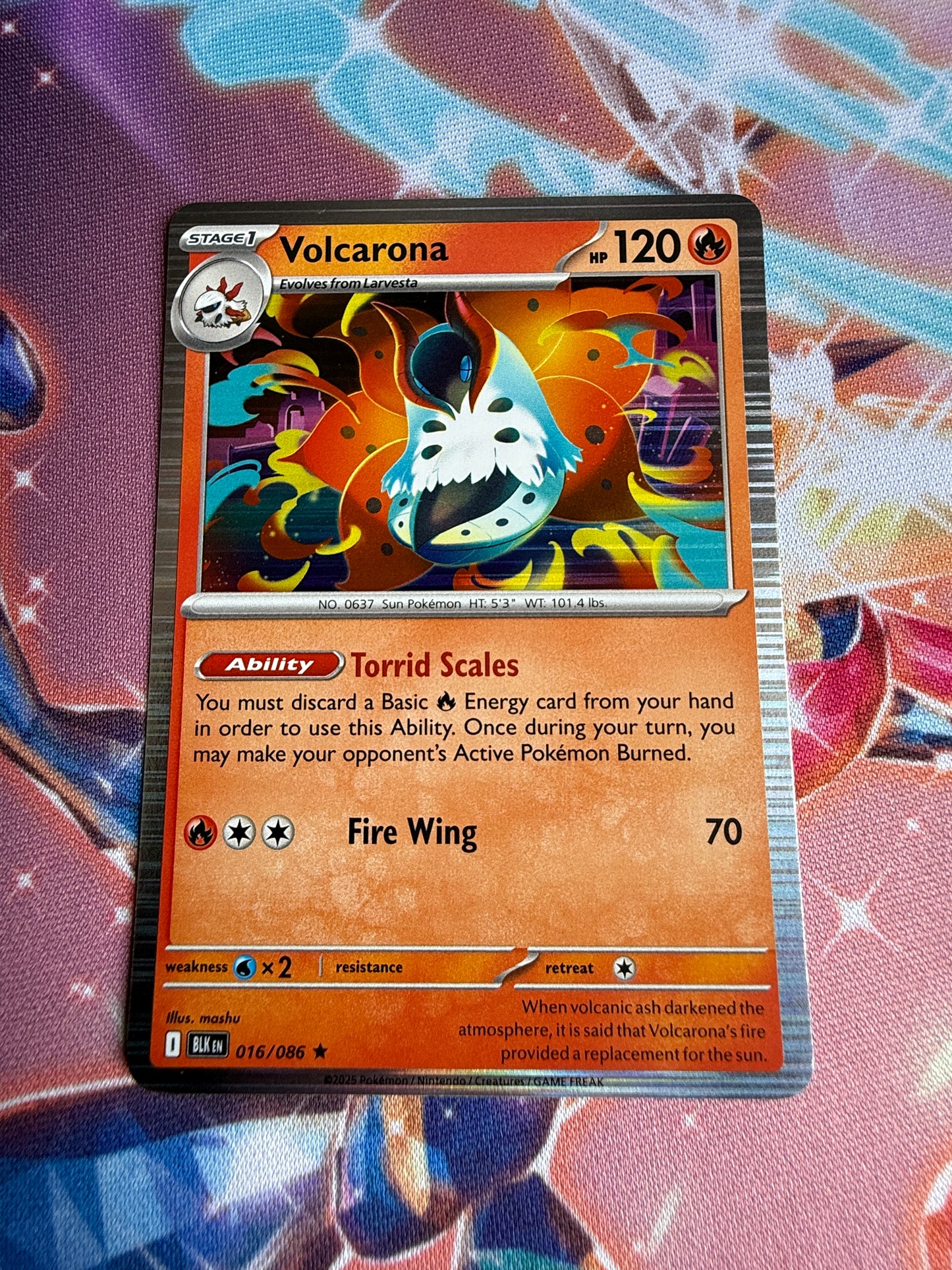 Set of 11 x Pokemon Black Bolt Holos