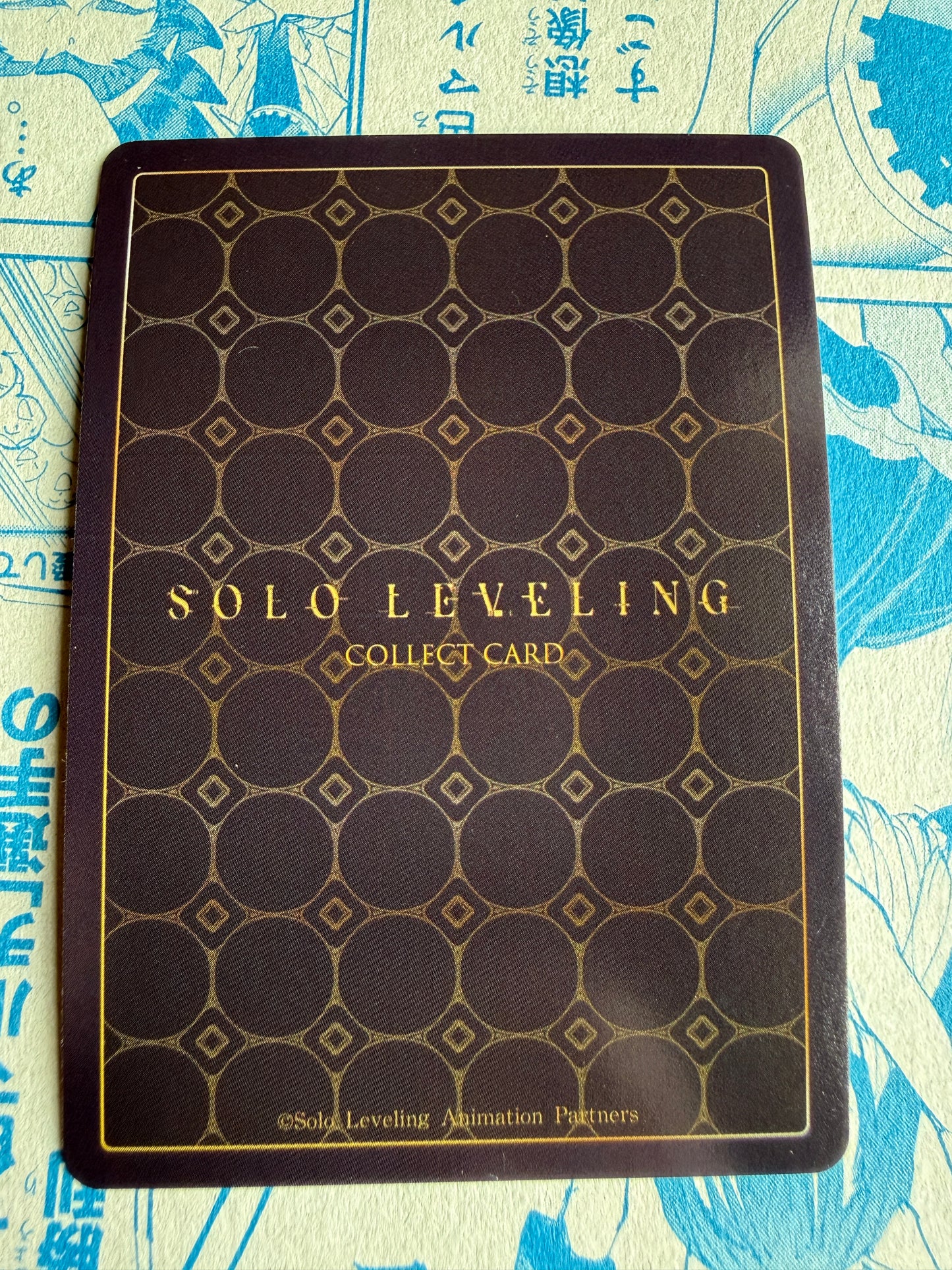 Solo Leveling Mapniverse | Woo Jinchul | SL1E-PM06