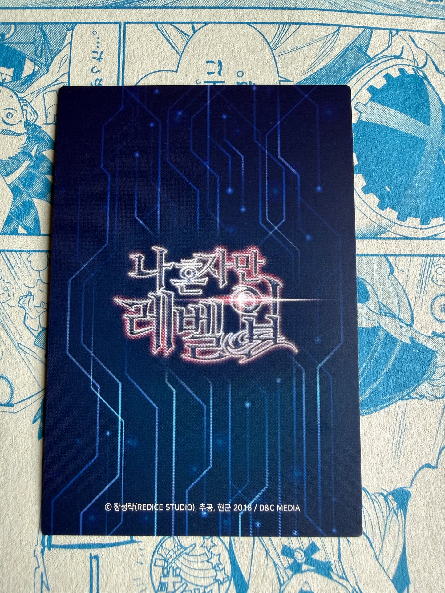 Solo Leveling | Sung Jinwoo SL 010 | Rare | Korean Webtoon