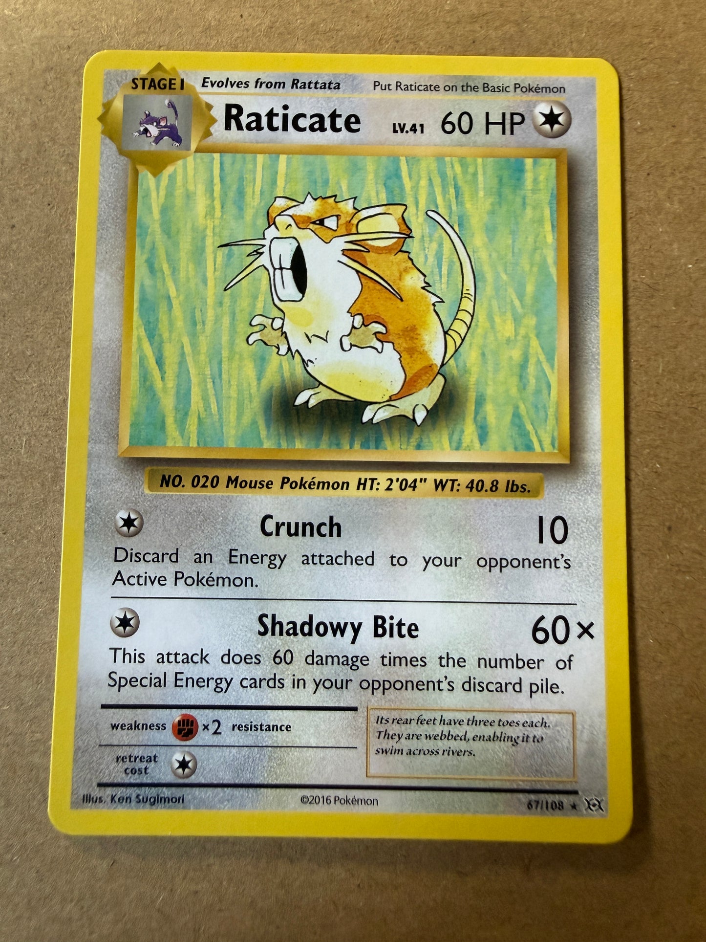 2016 XY Evolutions | Pokemon | Non-Holo Raticate #67