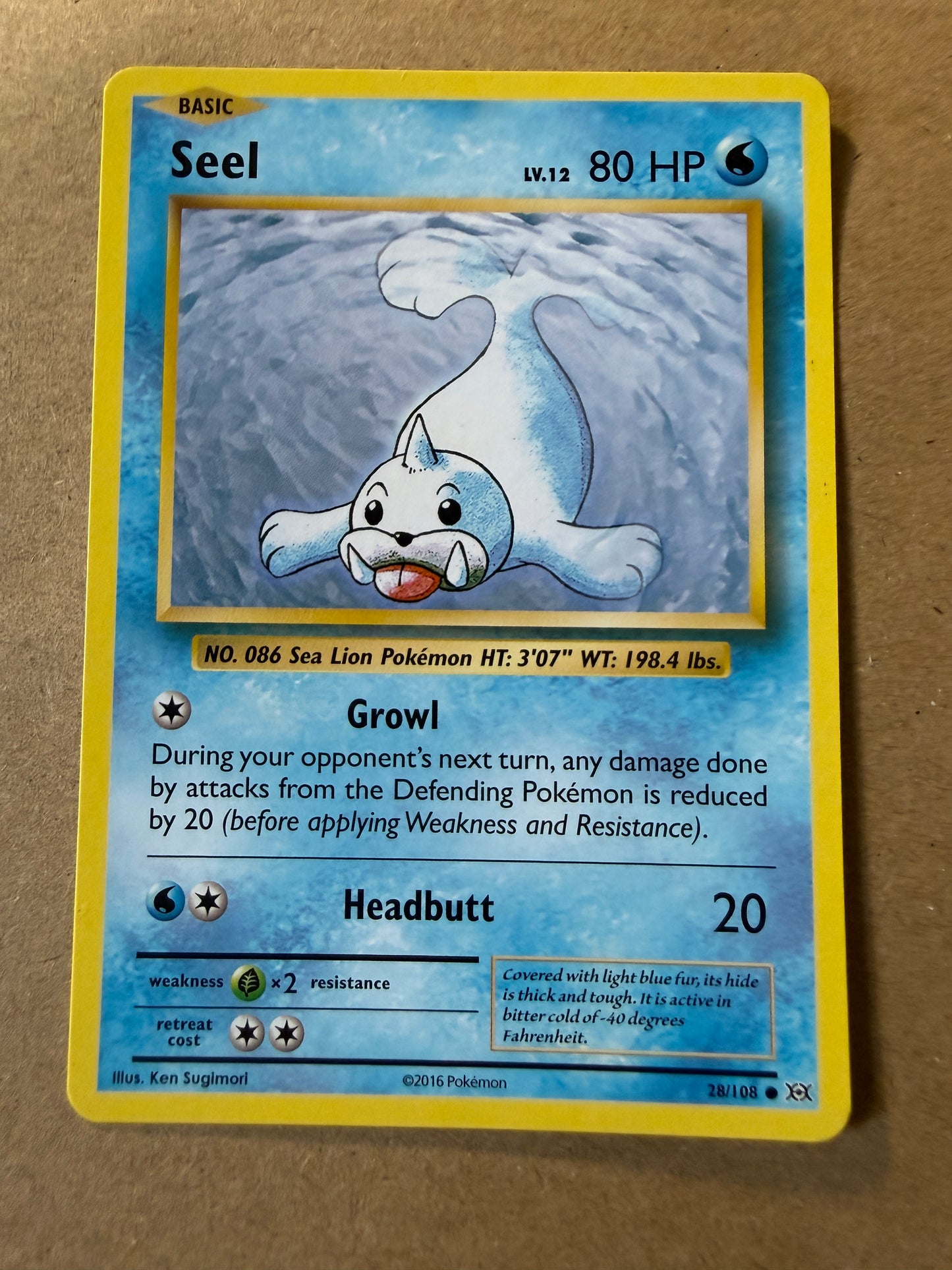 2016 XY Evolutions | Pokemon | Non-Holo Seal #28