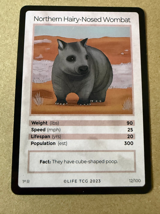 2023 LIFE TCG Mammals | Northern Hairy-Nosed Wombat 1st R #12