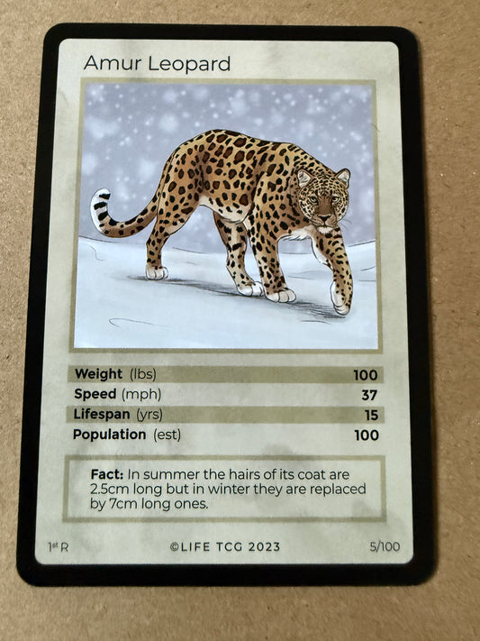 2023 LIFE TCG Mammals | Amur Leopard R 1st #5