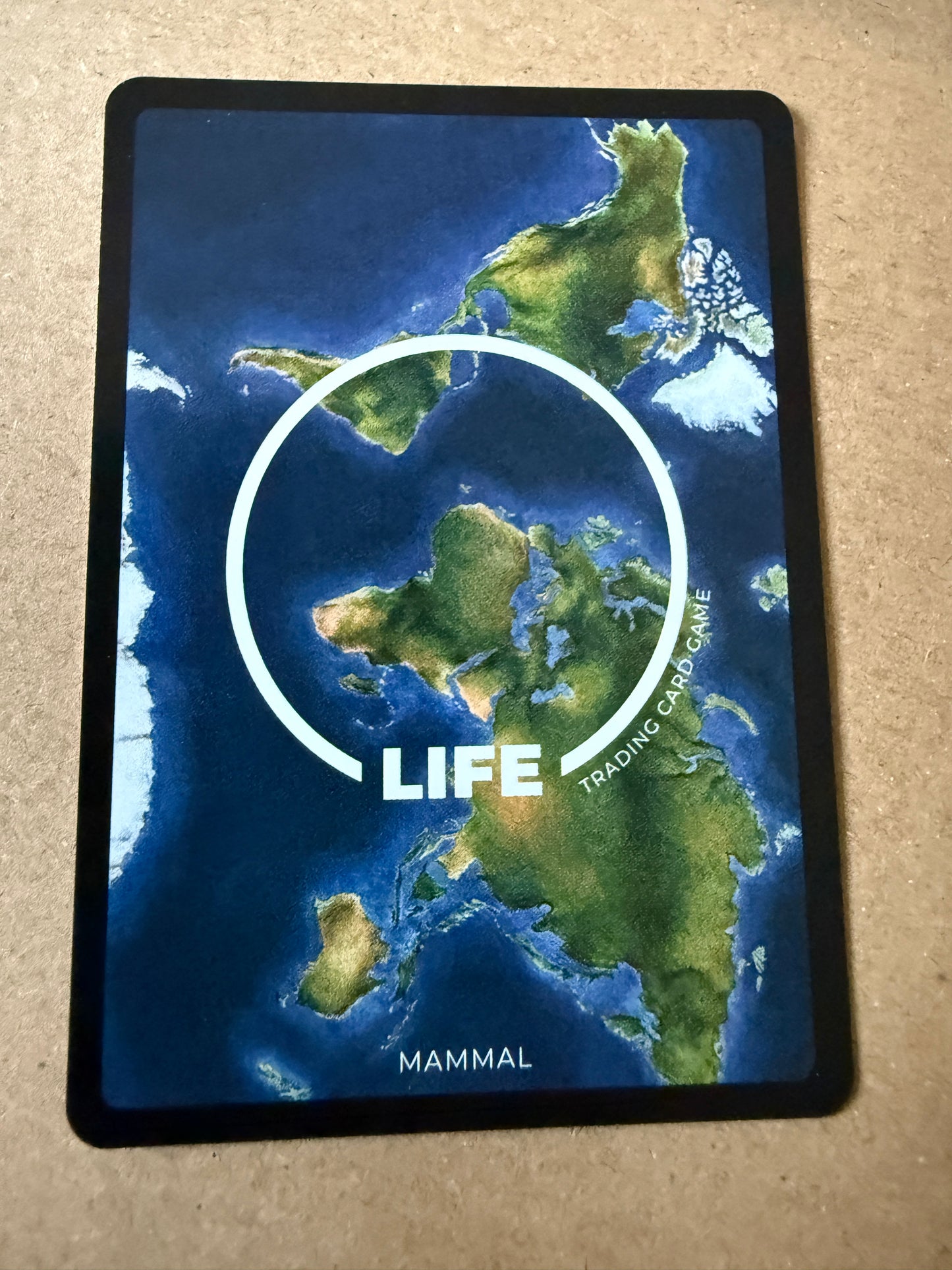 2023 LIFE TCG Mammals | Koala Holo 1st #52