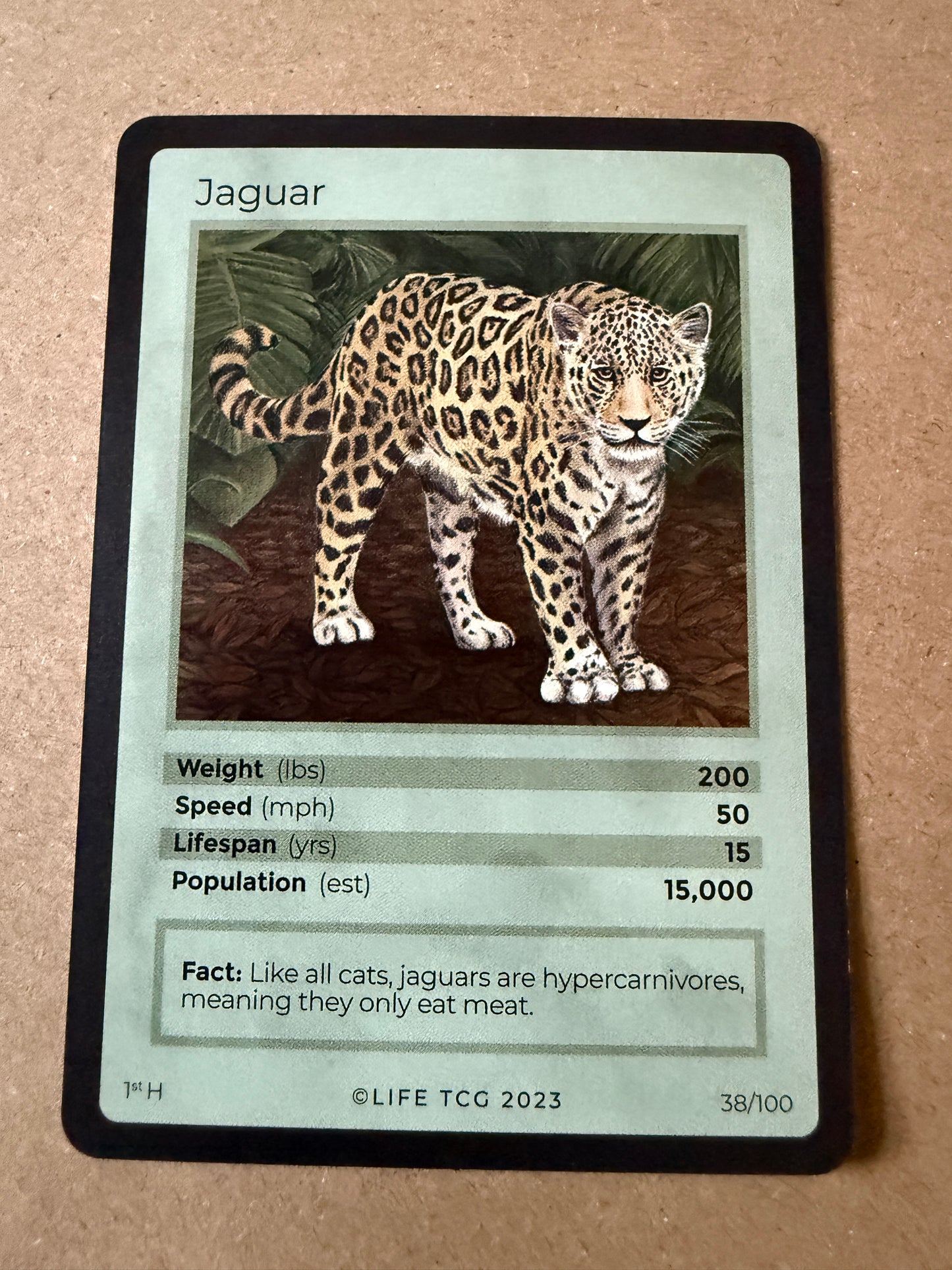 2023 LIFE TCG Mammals | Jaguar Holo 1st #38