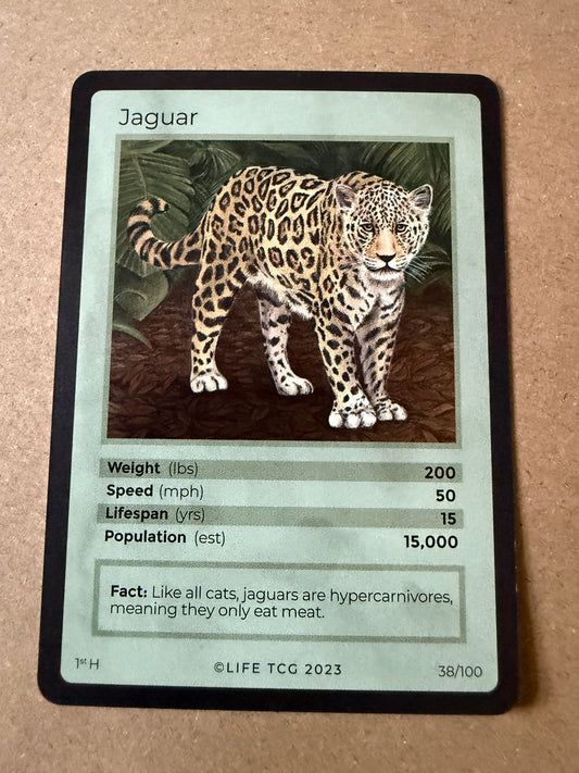 2023 LIFE TCG Mammals | Jaguar Holo 1st #38