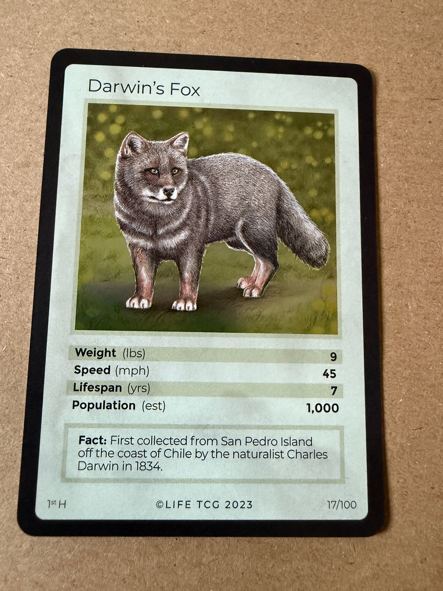 2023 LIFE TCG Mammals | Darwin's Fix Holo 1st #17