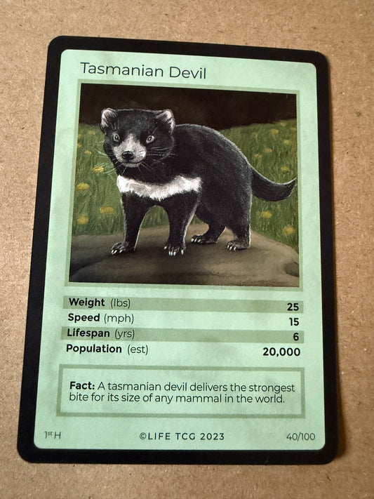 2023 LIFE TCG Mammals | Tasmanian Devil Holo 1st #40
