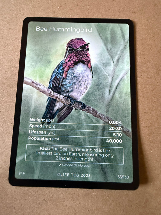 2025 LIFE TCG Birds | Bee Hummingbird 1st F #55