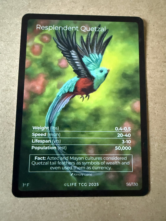 2025 LIFE TCG Birds | Resplendent Quetzal 1st F #56