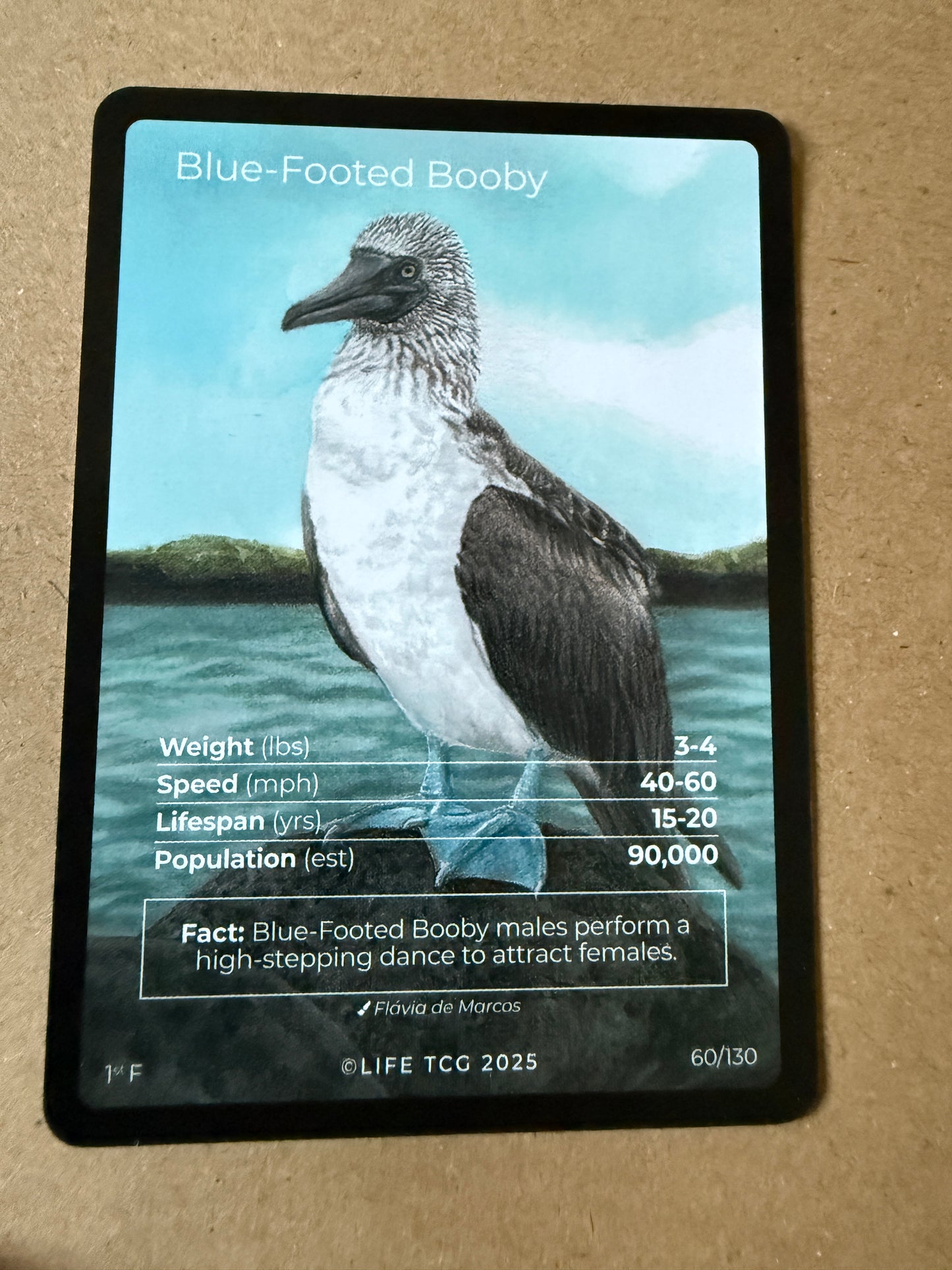 2025 LIFE TCG Birds | Blue-Footed Booby 1st F #60