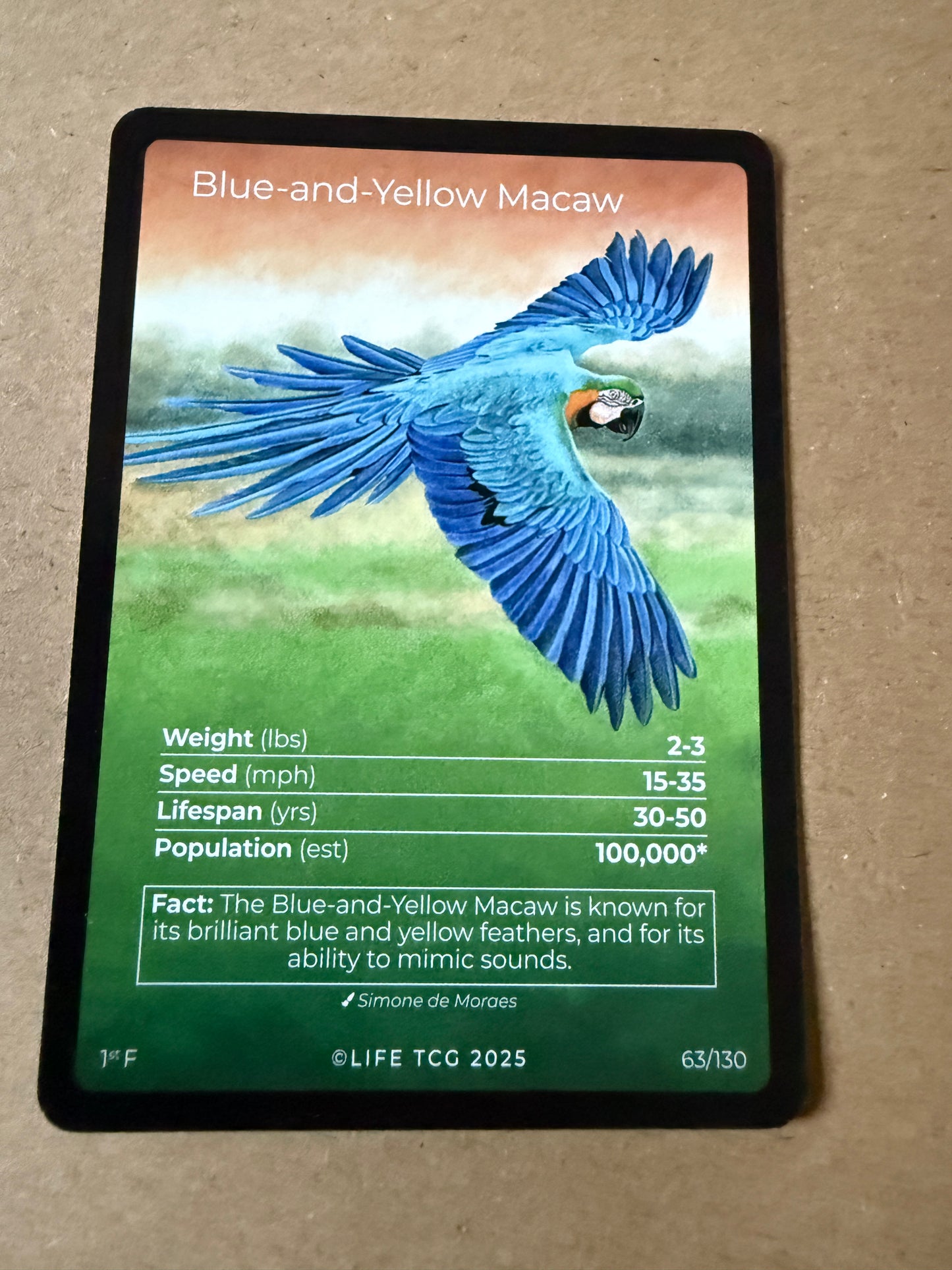 2025 LIFE TCG Birds | Blue and Yellow Macaw 1st F #63