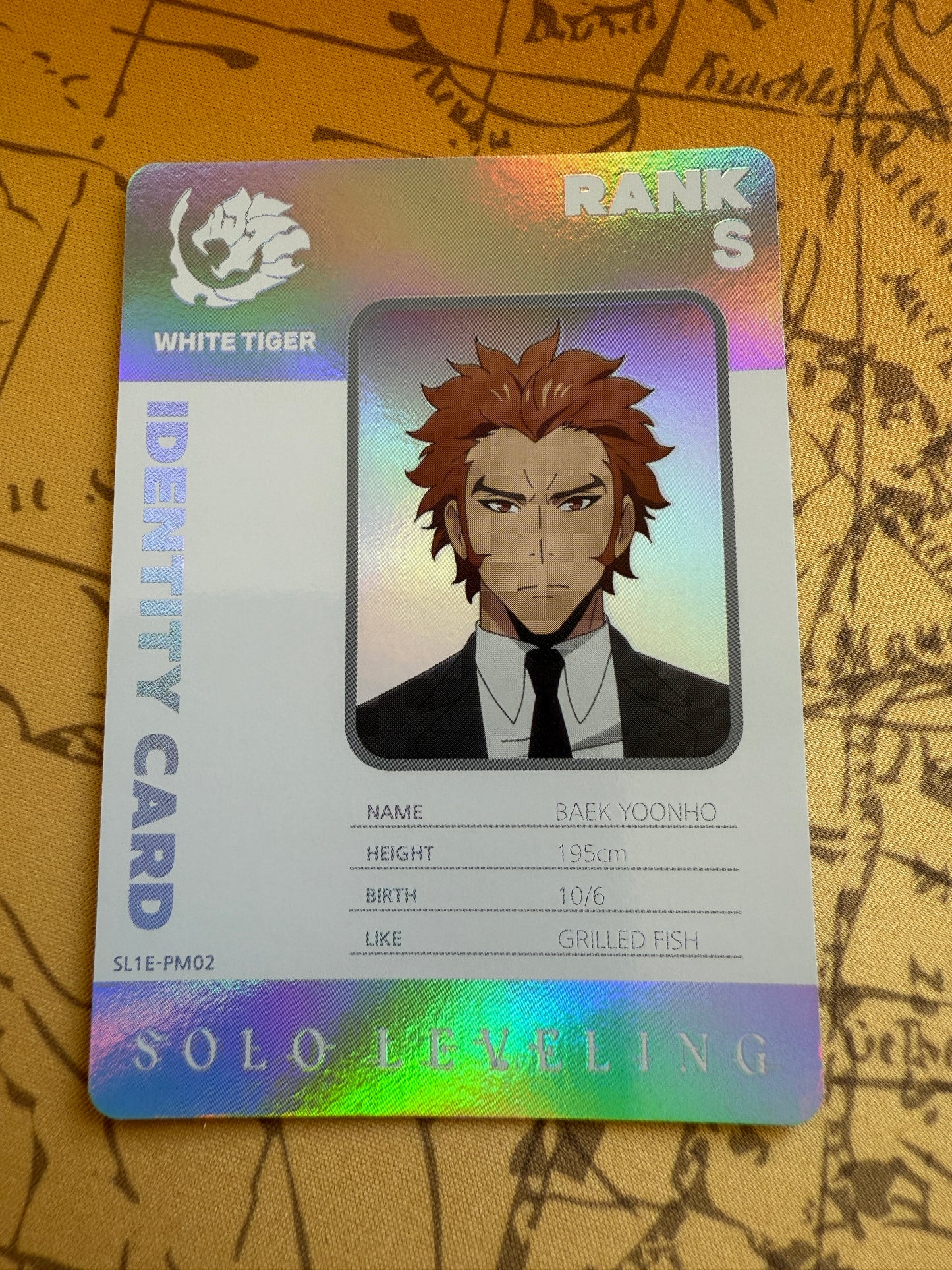 Solo Leveling Mapniverse | Baek Yoonho Identity Card | SL1E-PM02