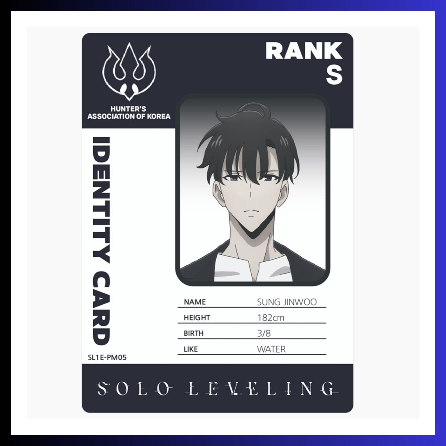 Solo Leveling Card Collect | Mapniverse | Korean