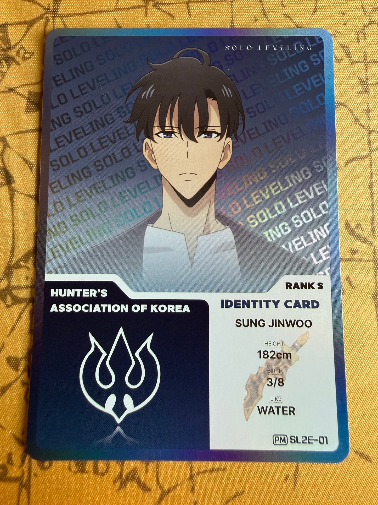 Sung Jinwoo PM SL2E-01 ID Card | Promo | Solo Leveling Volume 2 | Mapniverse | Korean