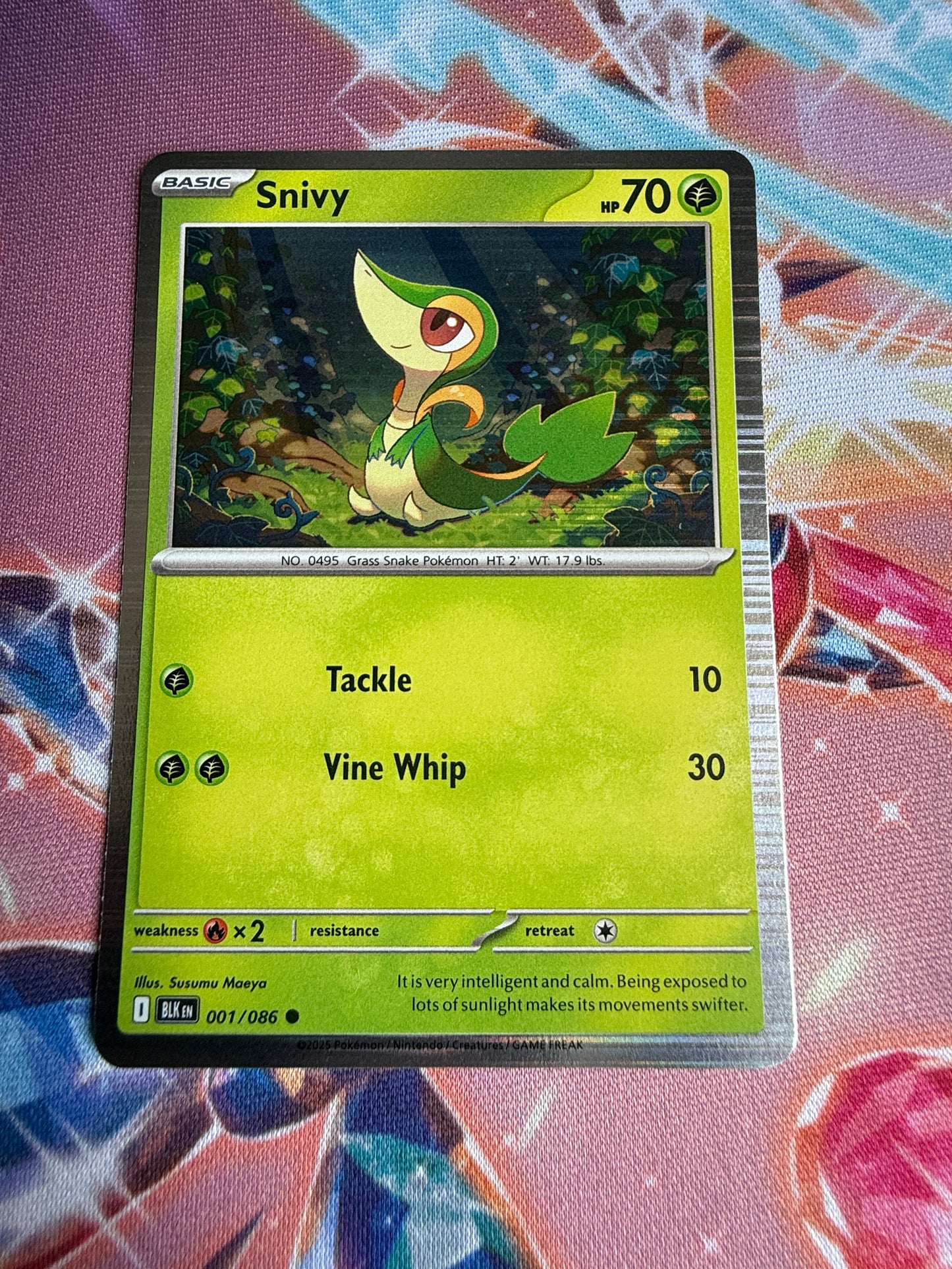Set of 11 x Pokemon Black Bolt Holos