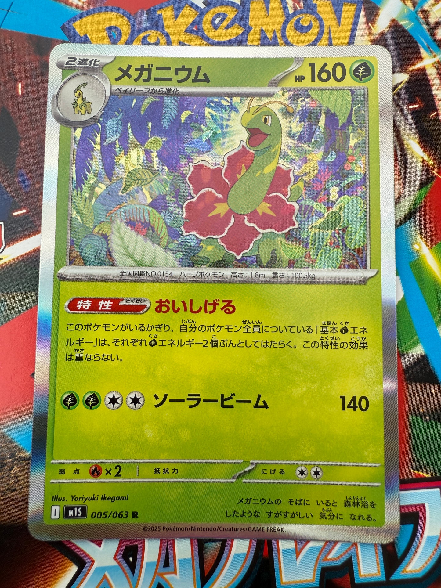 Meganium #5 Holo | Pokemon Card Japanese | Mega Symphonia