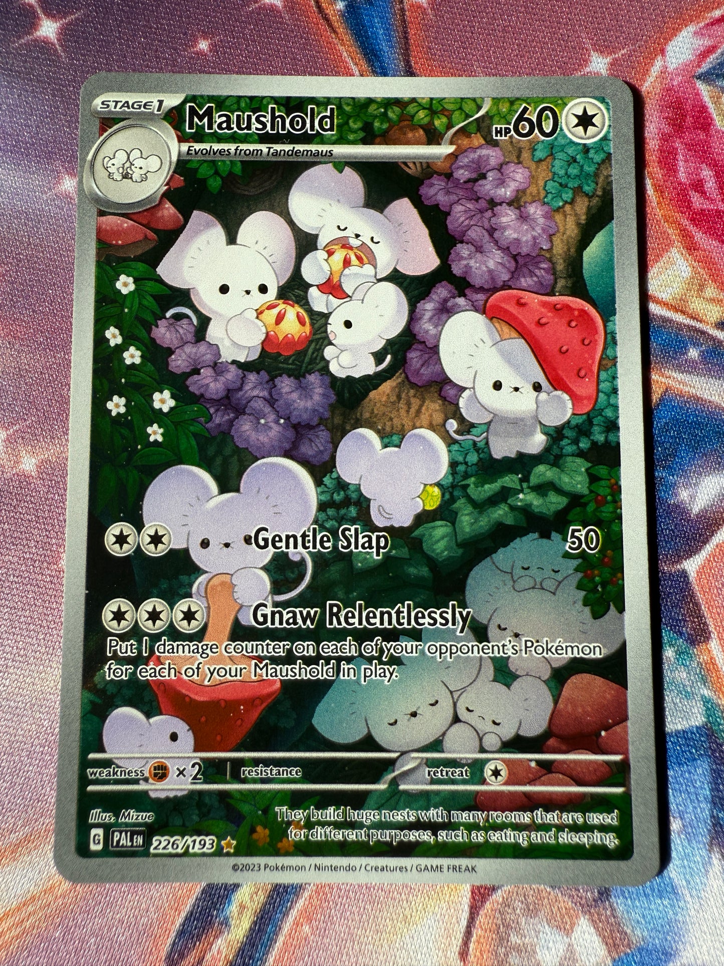 Maushold #226 Pokemon Paldea Evolved