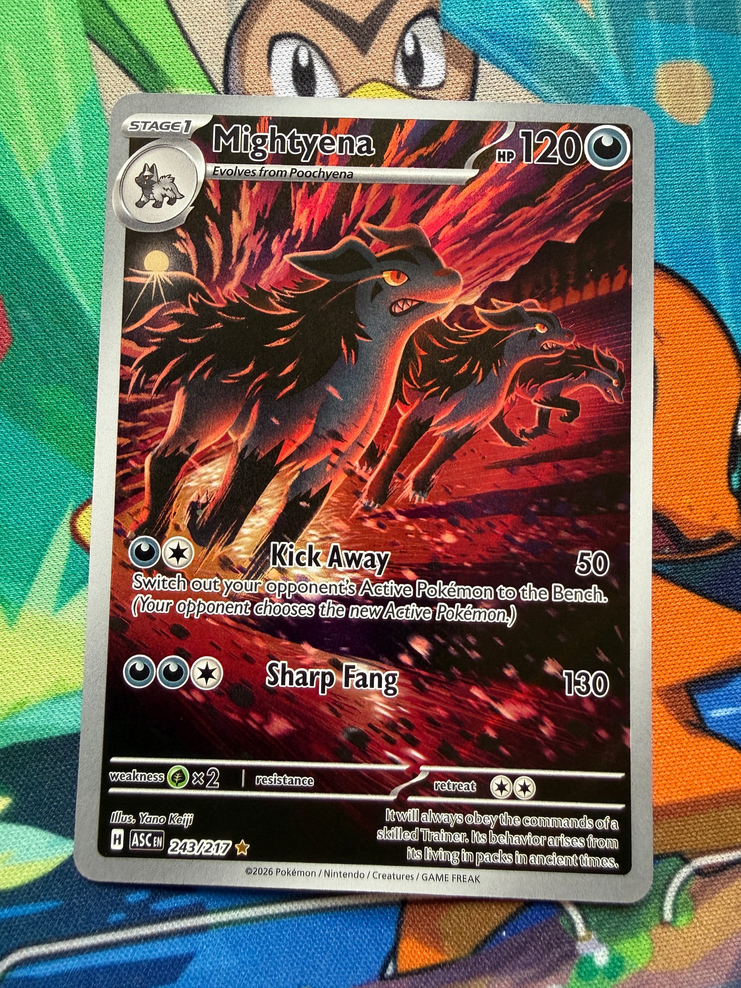 Mightyena #243 | Ascended Heroes