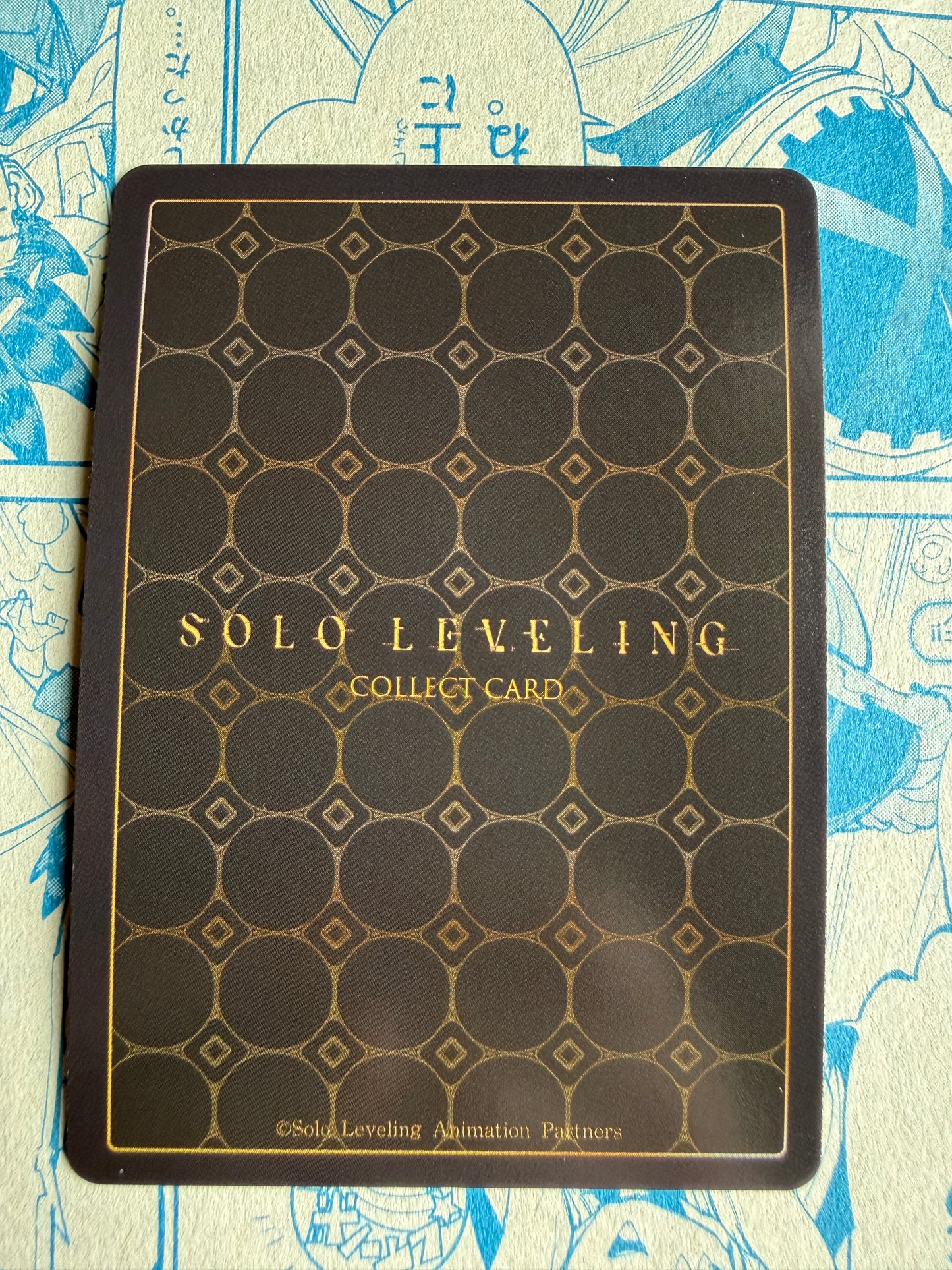 Solo Leveling Mapniverse | Sung Jinwoo | HR SL2E-091