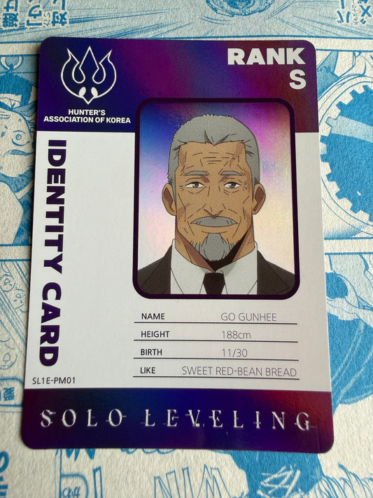 Solo Leveling Mapniverse | Go Gunhee | SL1E-PM01