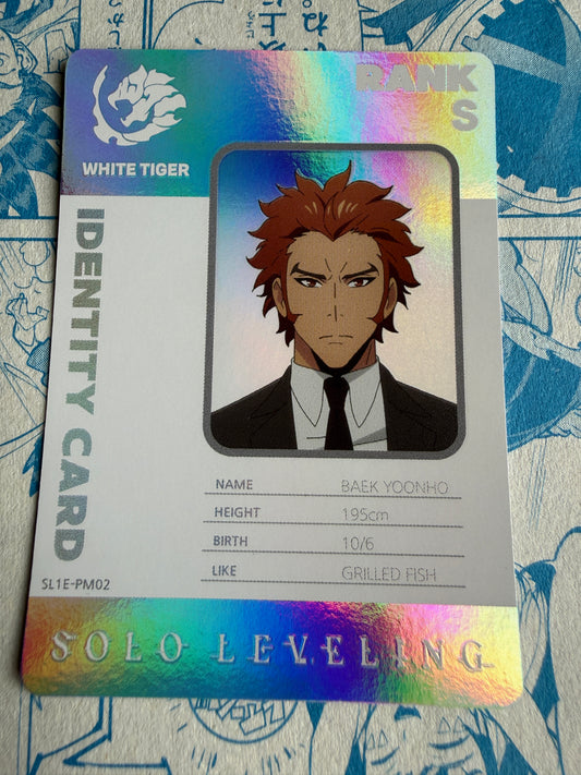 Solo Leveling Mapniverse | Baek Yoonho | SL1E-PM02