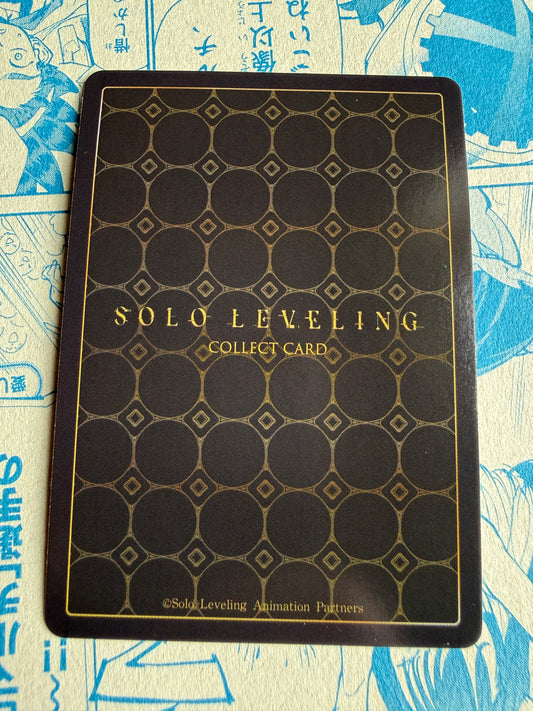 Solo Leveling Mapniverse | Baek Yoonho | SL1E-PM02