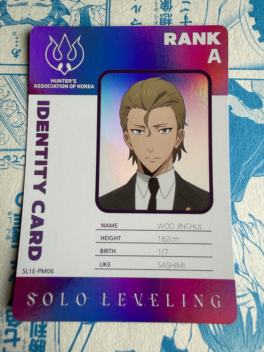 Solo Leveling Mapniverse | Woo Jinchul | SL1E-PM06