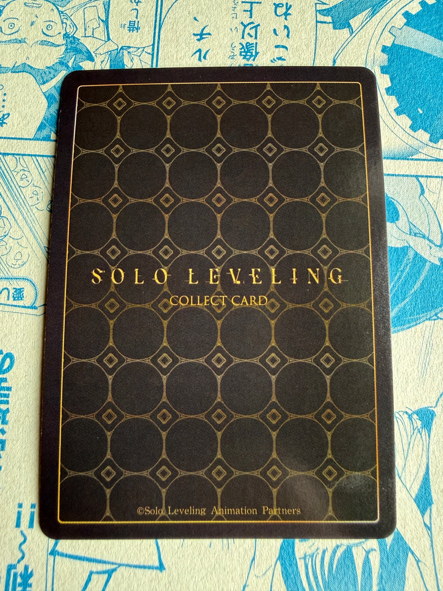 Solo Leveling Mapniverse | Cha Hae-In | SL1E-PM08