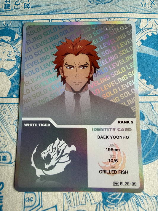 Solo Leveling Mapniverse | Baek Yoonho | PM SL2E-05
