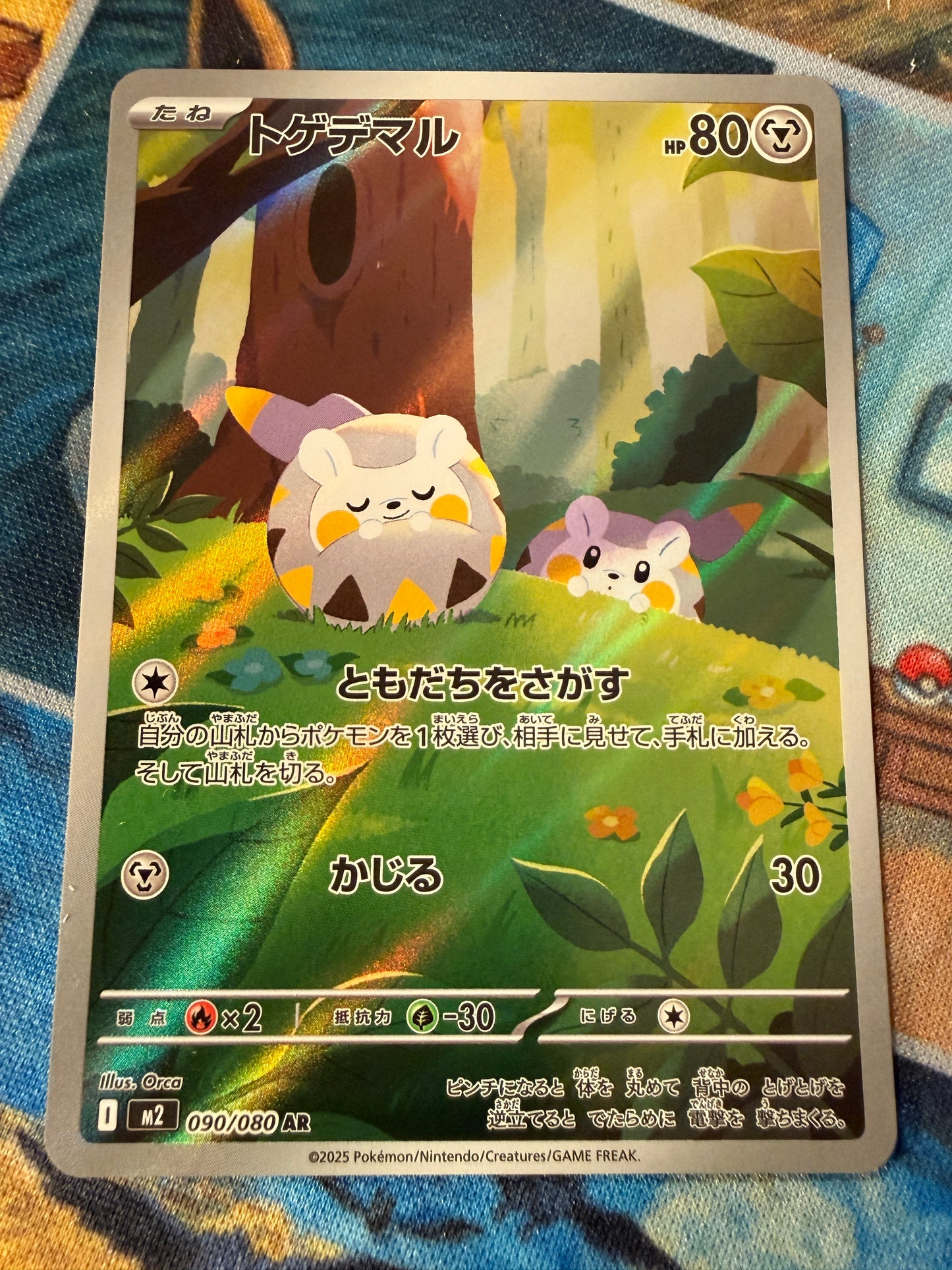 Togedemaru 090 | Inferno X M2 | Japanese