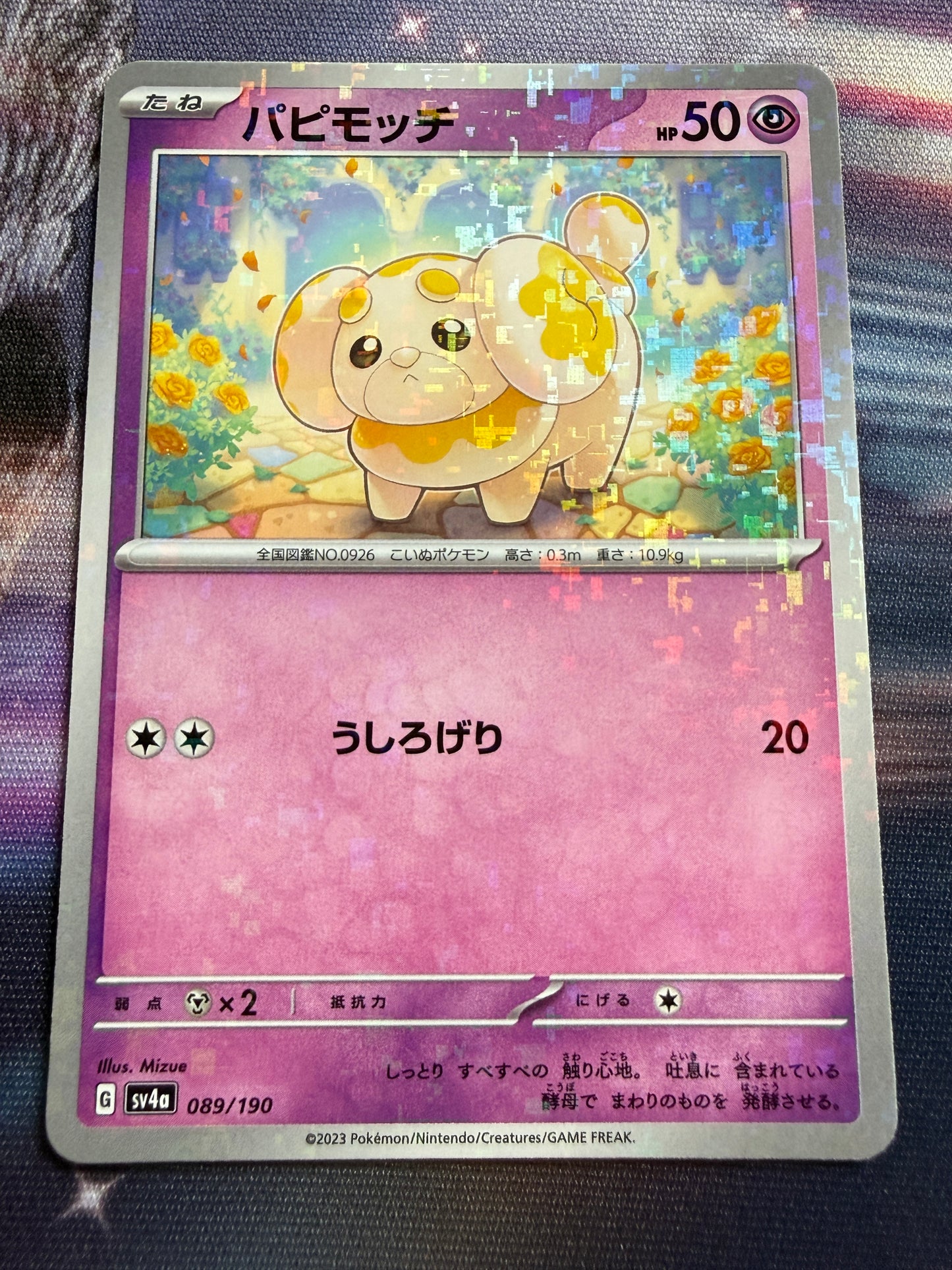 Fidough [Reverse Holo] #89 | Pokemon Japanese | Shiny Treasure Ex