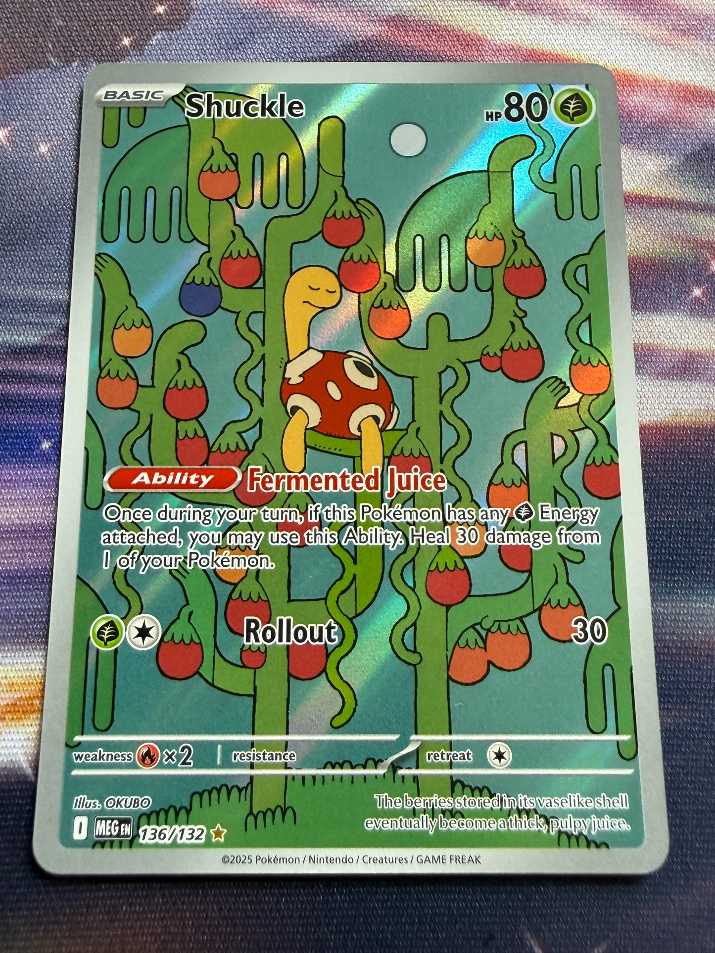 Shuckle #136 | Pokemon | Mega Evolution