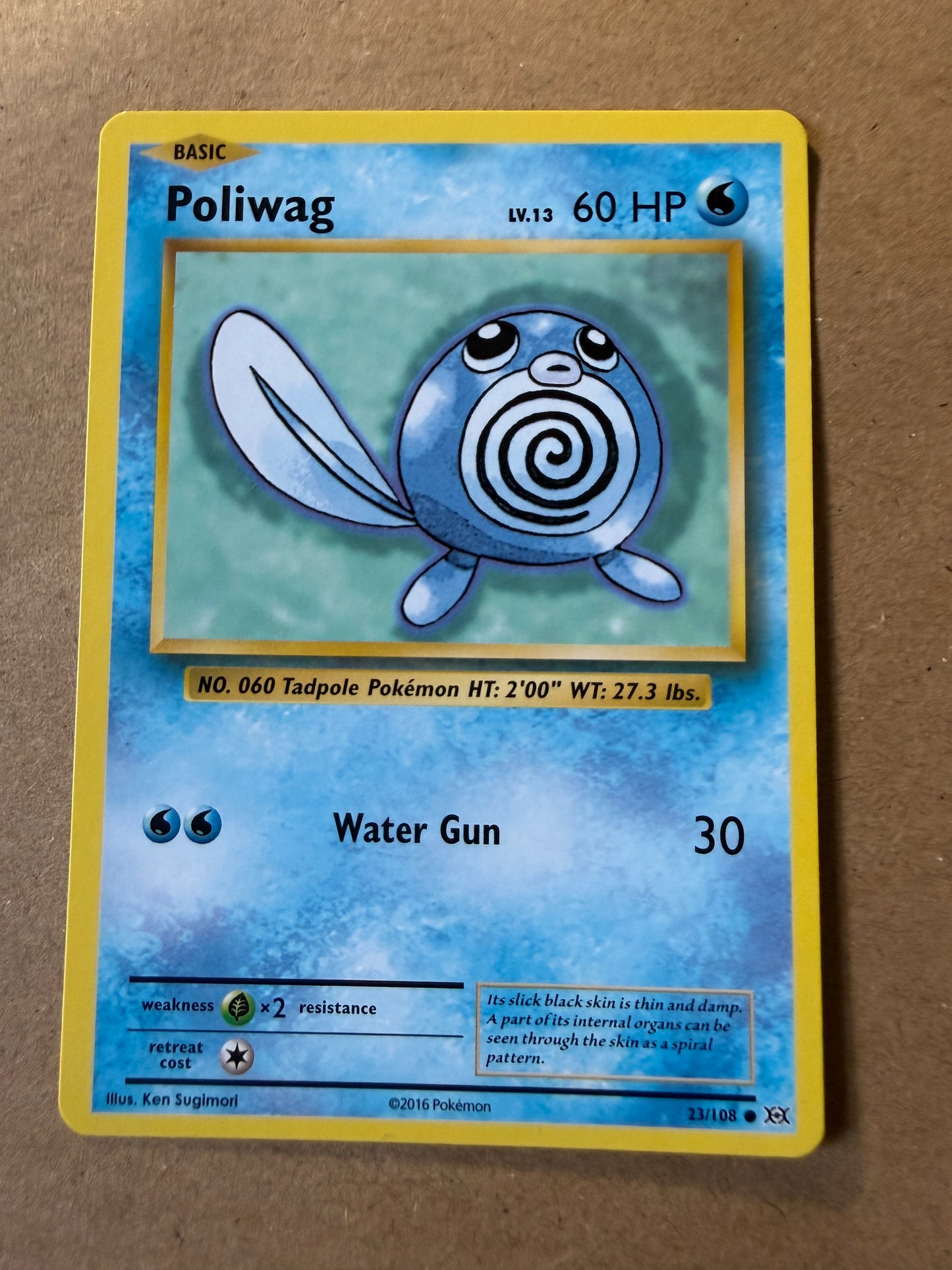 2016 XY Evolutions | Pokemon | Non-Holo Poliwag #23