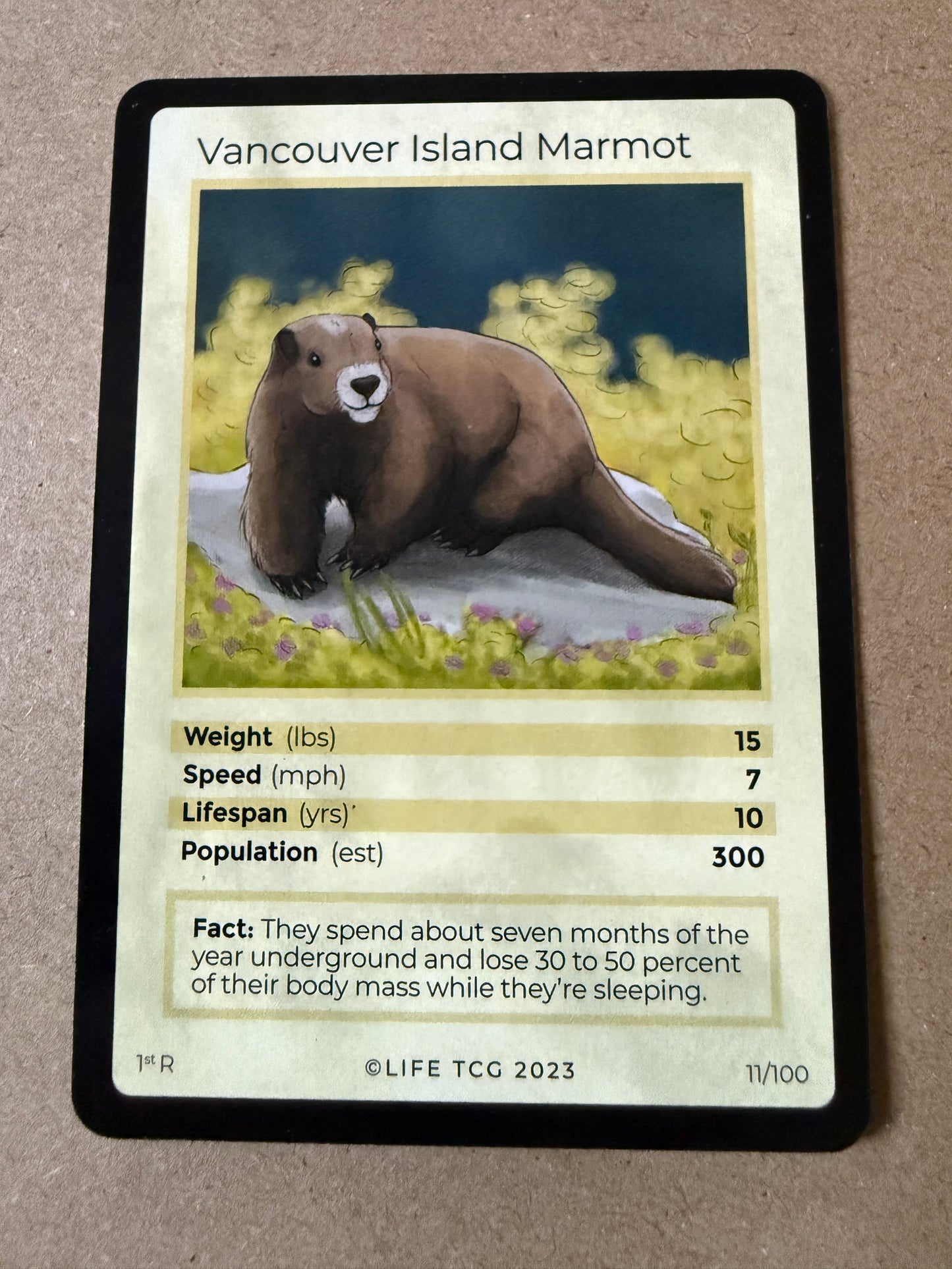 2023 LIFE TCG Mammals | Vancouver Island Marmot 1st R #11