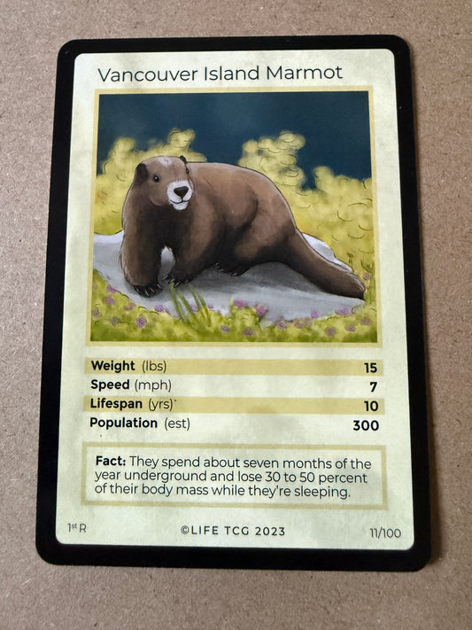 2023 LIFE TCG Mammals | Vancouver Island Marmot 1st R #11