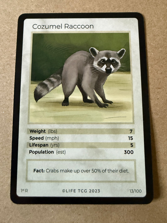 2023 LIFE TCG Mammals | Cozumel Raccoon 1st R #13