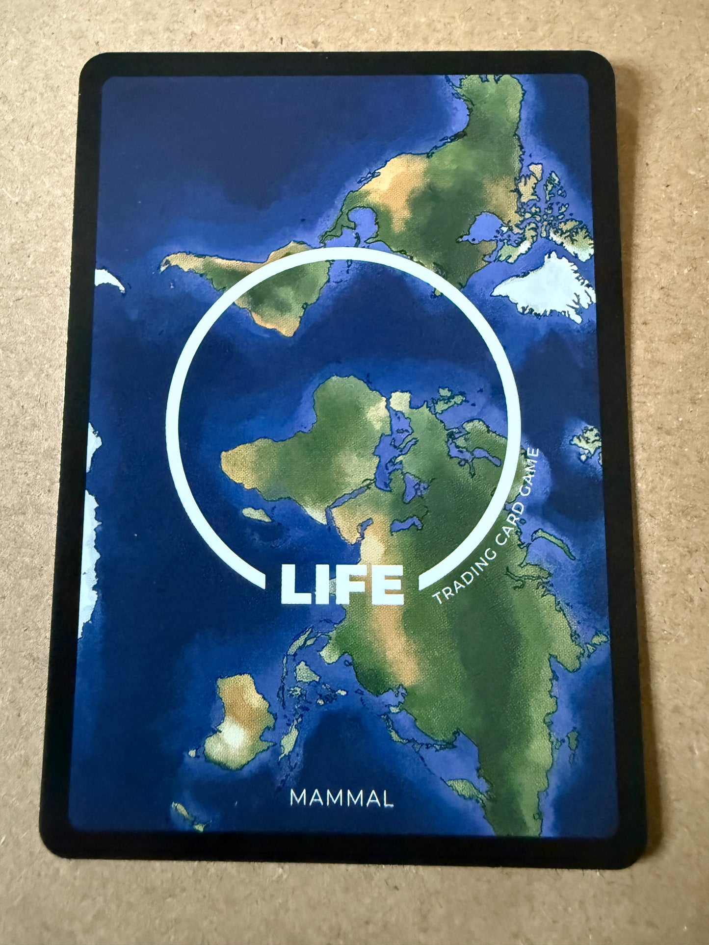 2023 LIFE TCG Mammals | Cozumel Raccoon 1st R #13