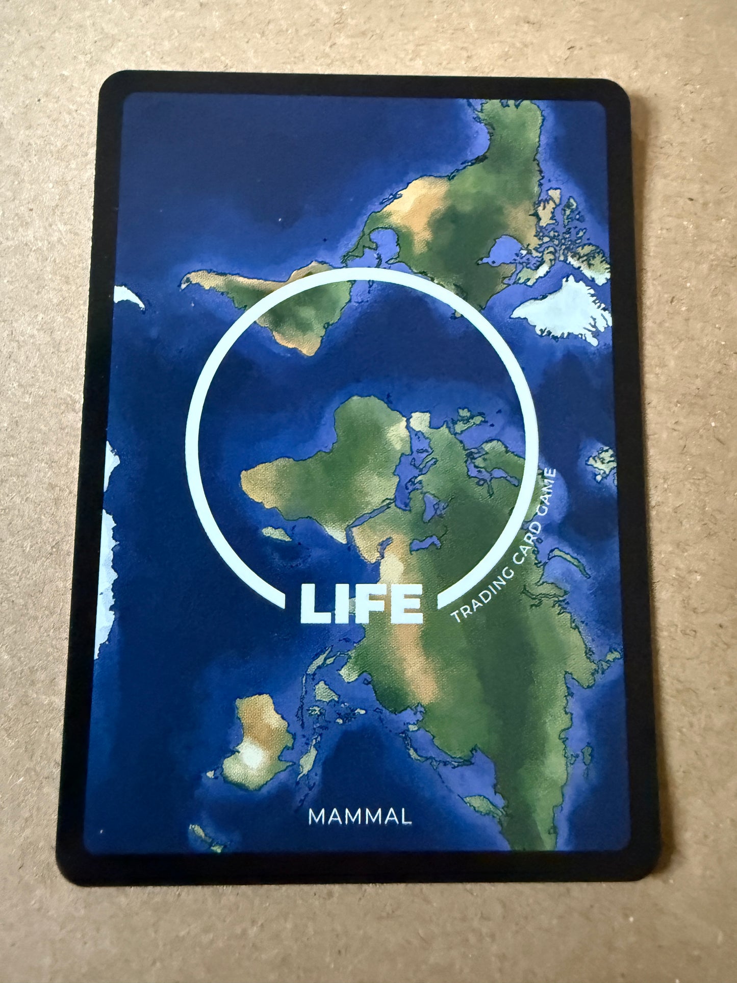 2023 LIFE TCG Mammals | Northern Hairy-Nosed Wombat 1st R #12