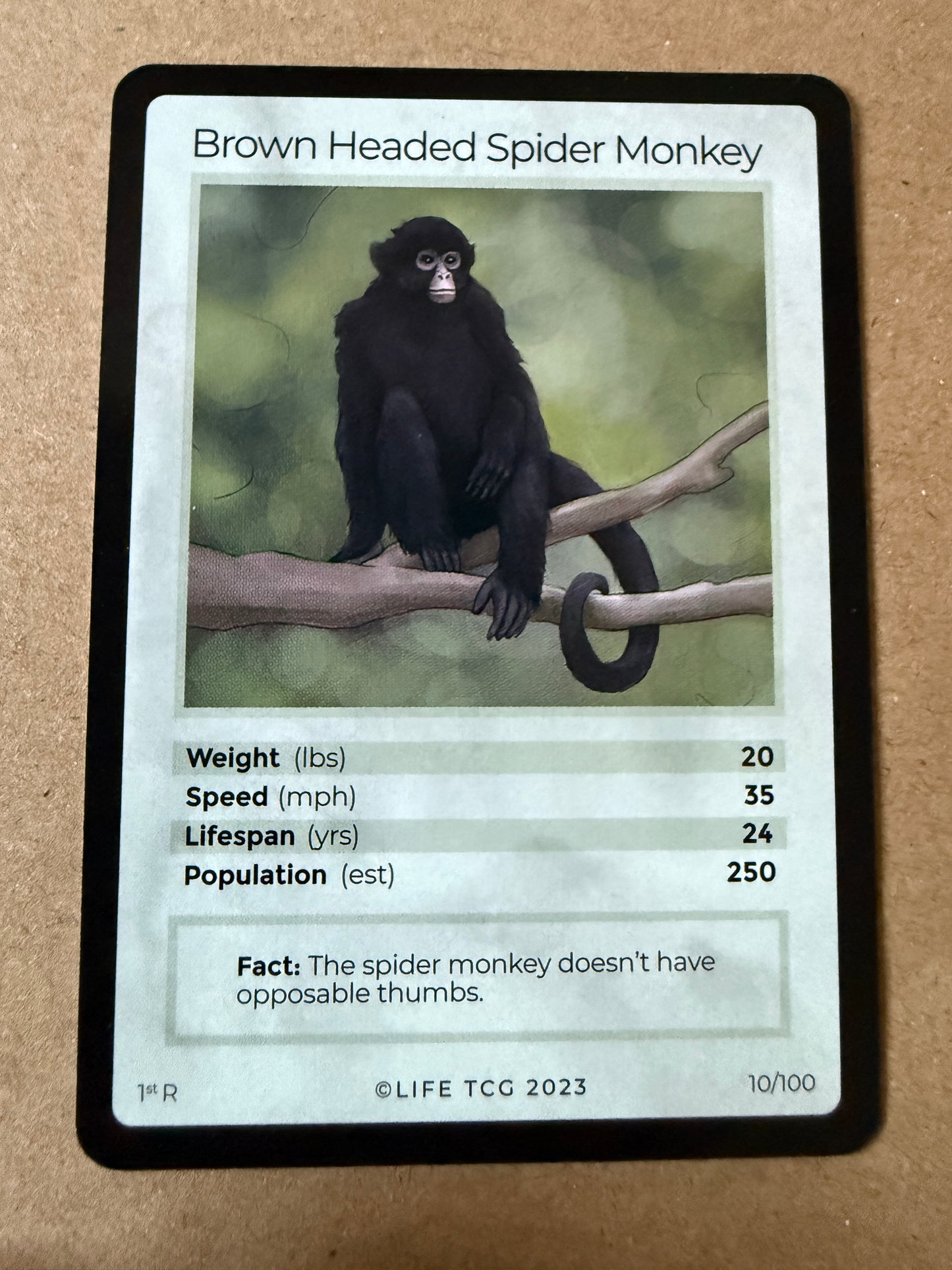2023 LIFE TCG Mammals | Brown Headed Spider Monkey 1st R #10