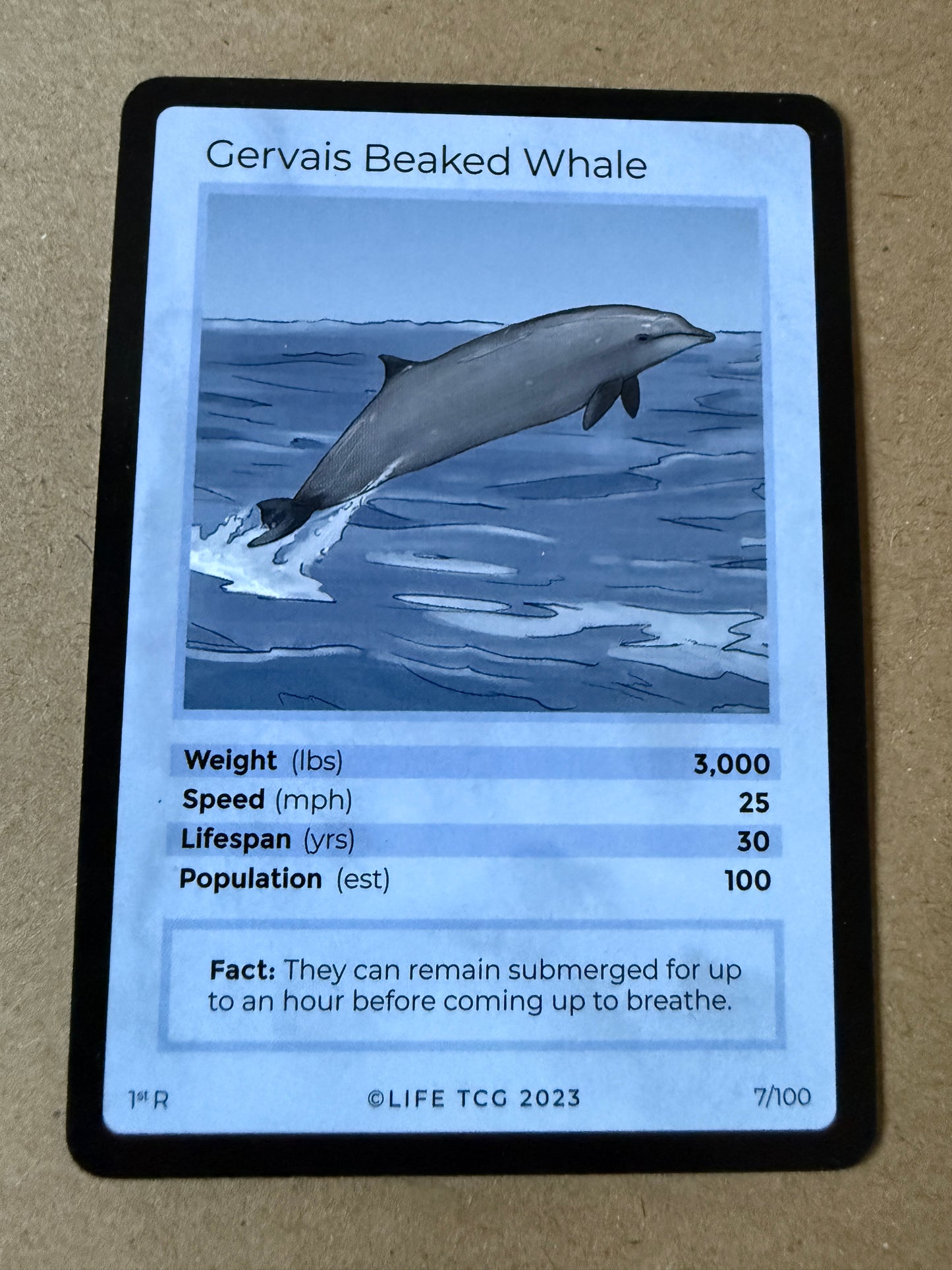 2023 LIFE TCG Mammals | Gervais Beaked Whale R 1st #7