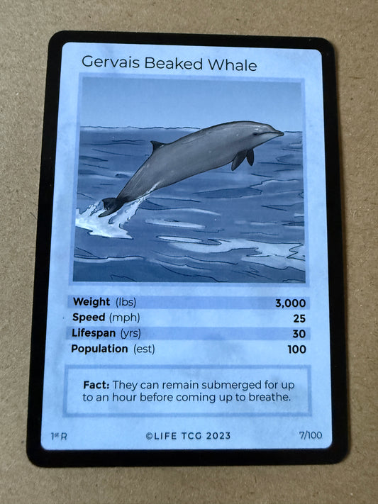2023 LIFE TCG Mammals | Gervais Beaked Whale R 1st #7