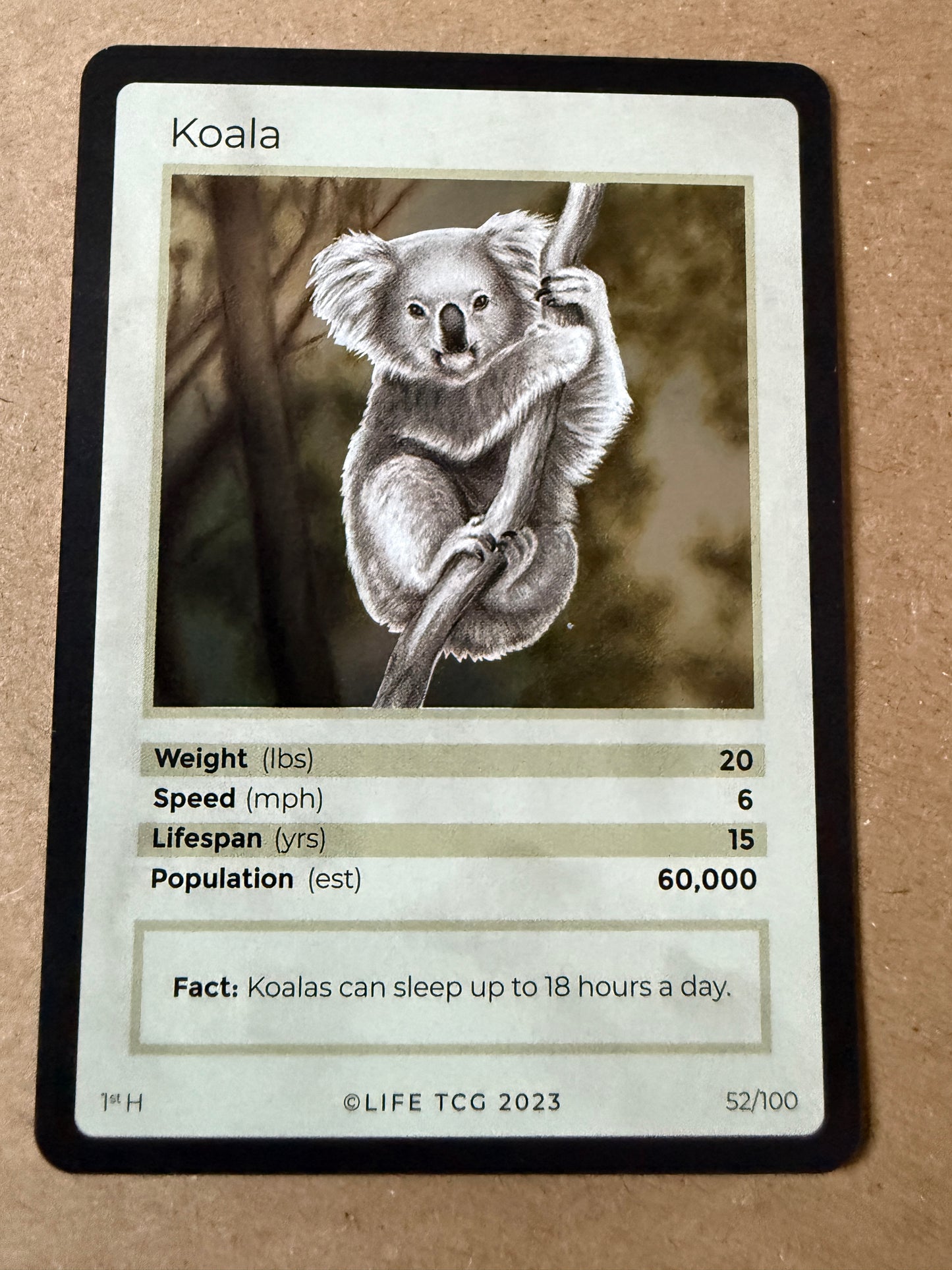 2023 LIFE TCG Mammals | Koala Holo 1st #52