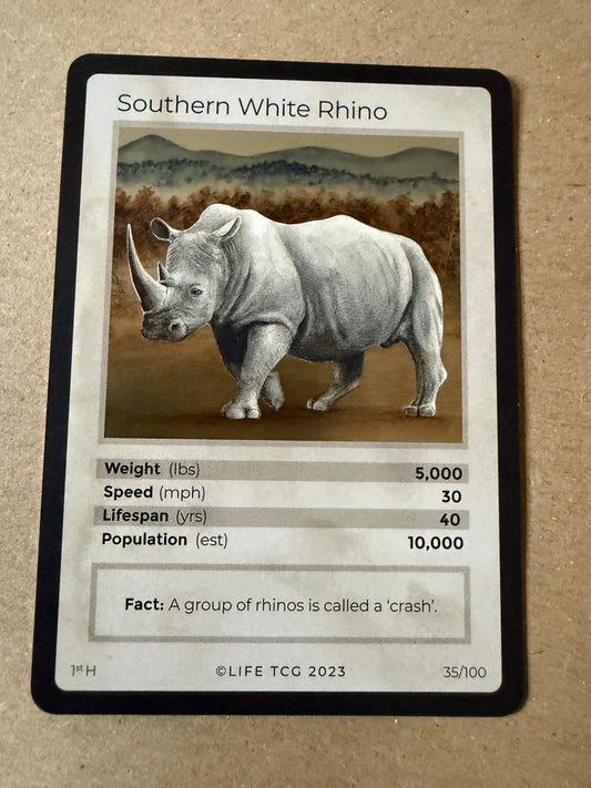 2023 LIFE TCG Mammals | Southern White Rhino Holo 1st #35