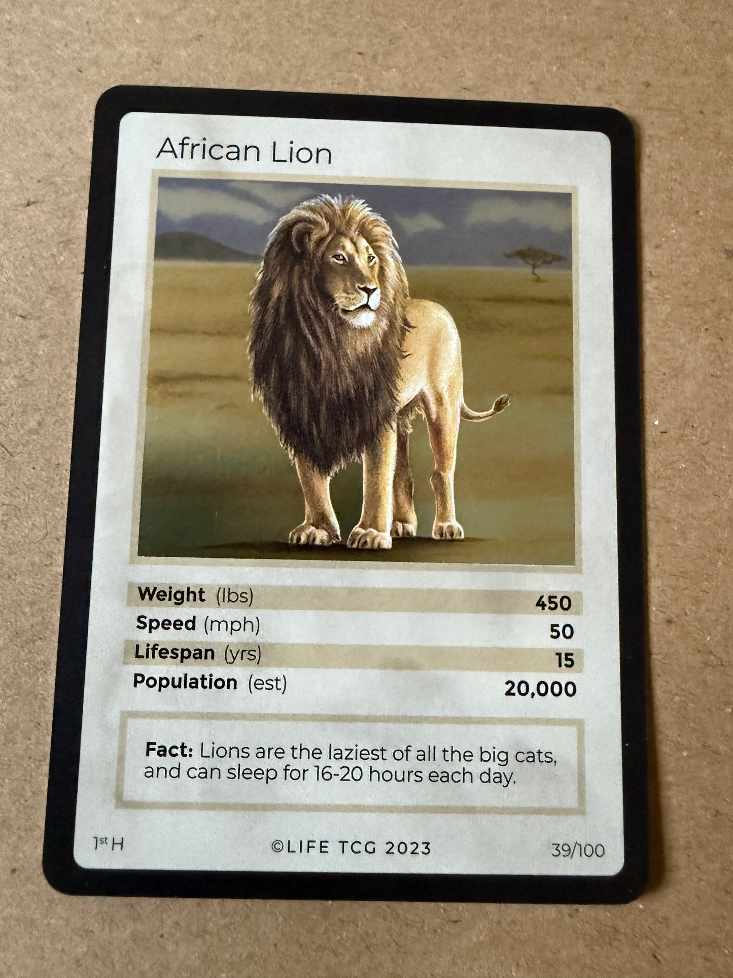 2023 LIFE TCG Mammals | African Lion Holo 1st #39