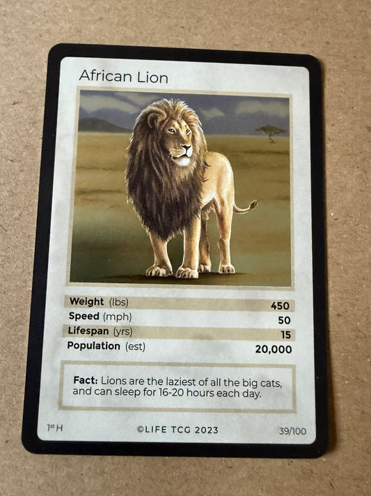 2023 LIFE TCG Mammals | African Lion Holo 1st #39