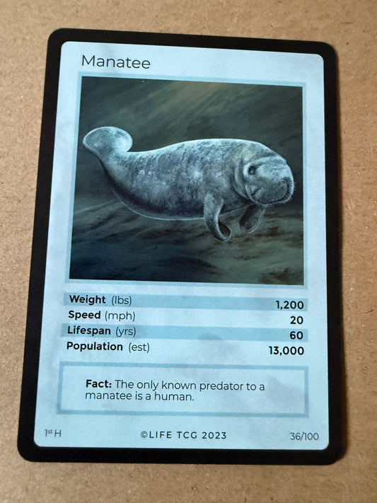 2023 LIFE TCG Mammals | Manatee Holo 1st #36