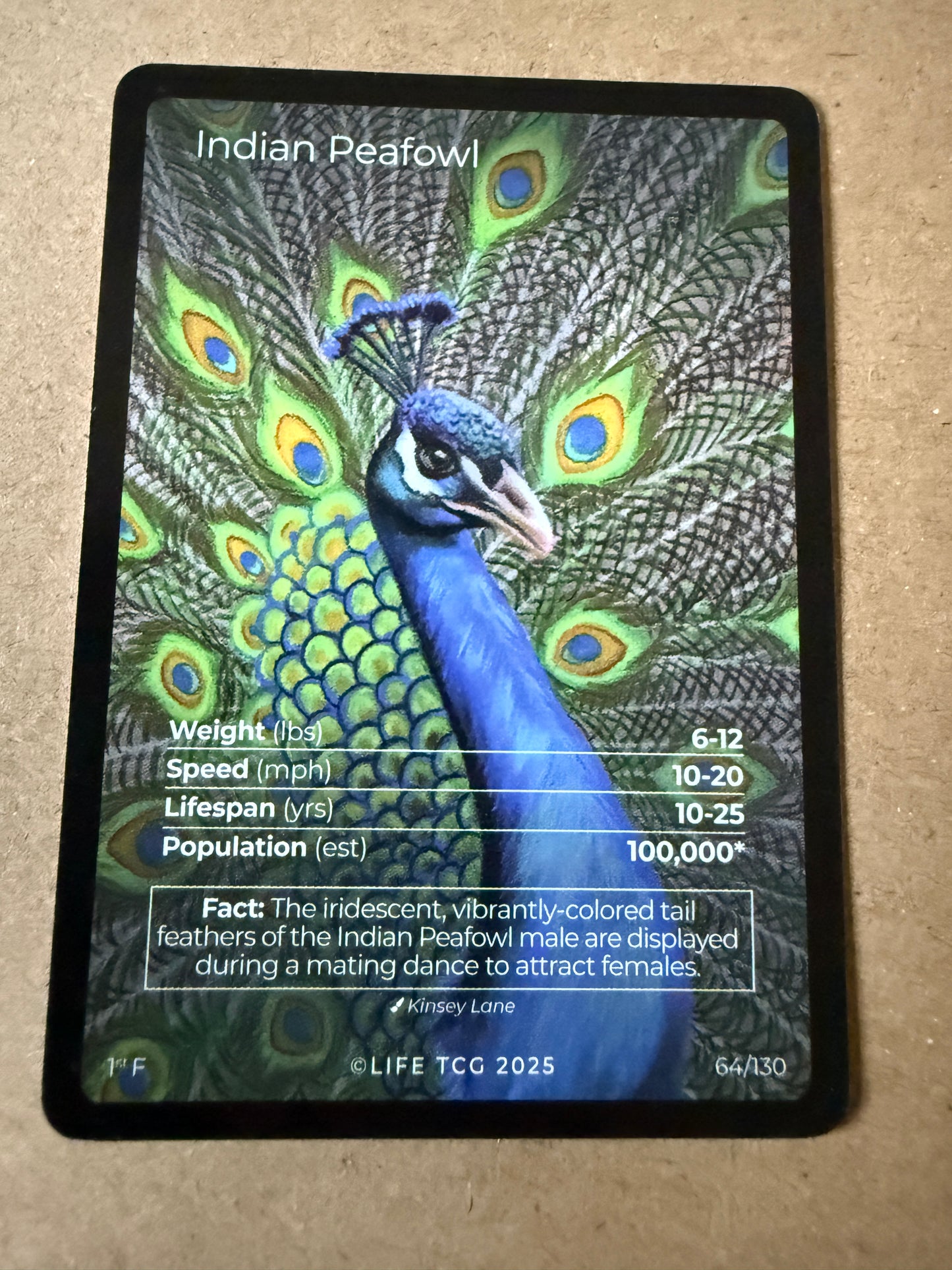 2025 LIFE TCG Birds | Indian Peafowl 1st F #64