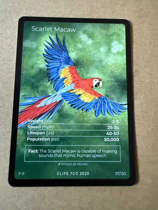 2025 LIFE TCG Birds | Scarlet Macaw 1st F #57